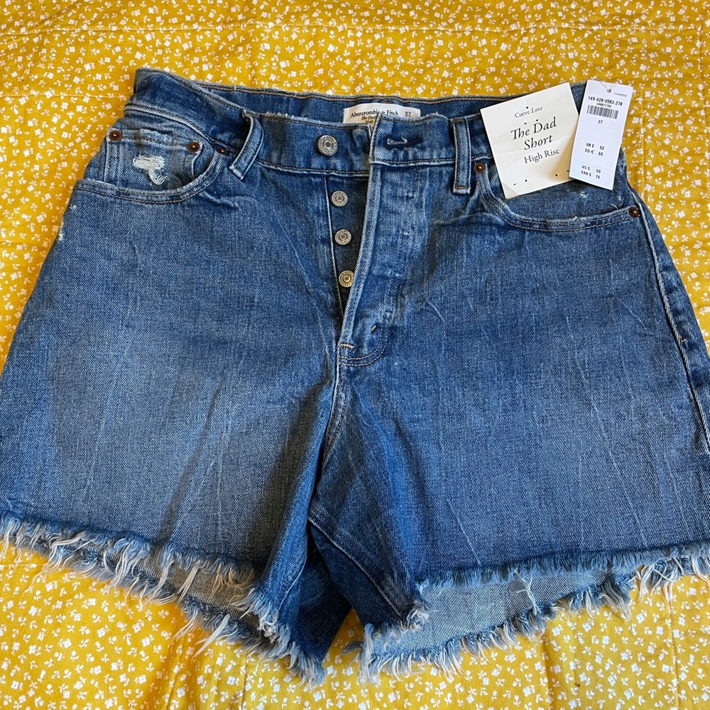 Abercrombie Dad Shorts
